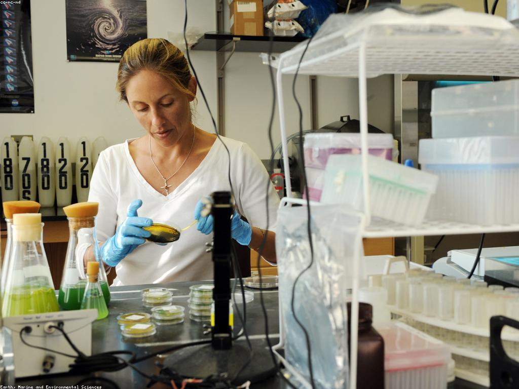 មគ្គុទេសក៍សម្រាប់ការពង្រឹងSEO