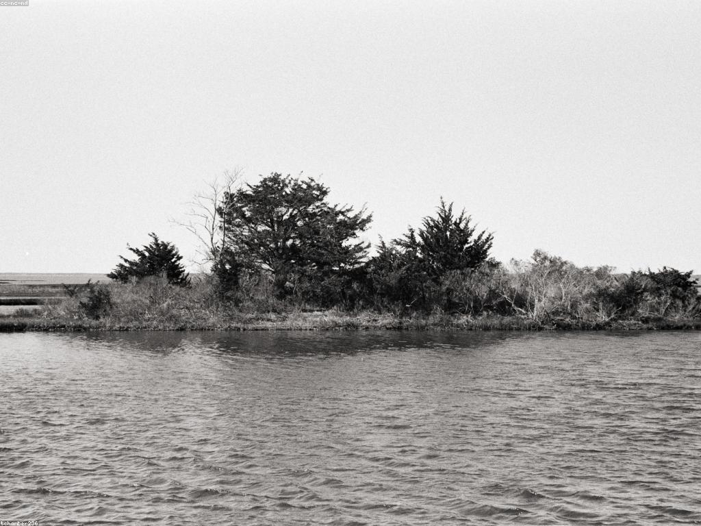 យុទ្ធសាស្ត្រស្លុត៖ ការប្រើប្រាស់សធាតុសមុទ្រដើម្បីការរស់នៅប្រកបដោយស្ថិរភាព