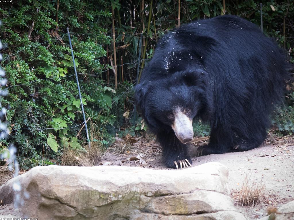 វិធីធ្វើឲ្យស្លុតរបស់អ្នកមានសុខភាពល្អ