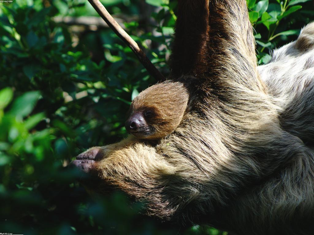 ជំហានដើម្បីបង្ហាញស្លុតអ្នកឱ្យមានភាពទាក់ទាញ