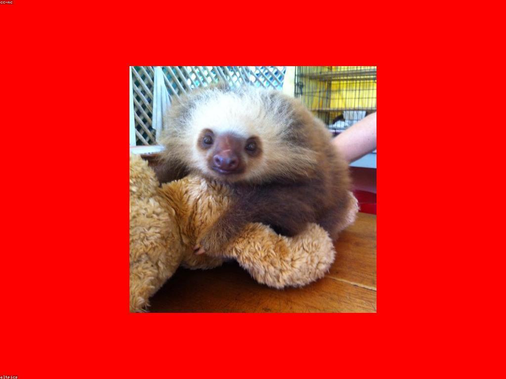 វិធីធ្វើឲ្យស្លុតរបស់អ្នកមានសុខភាពល្អ