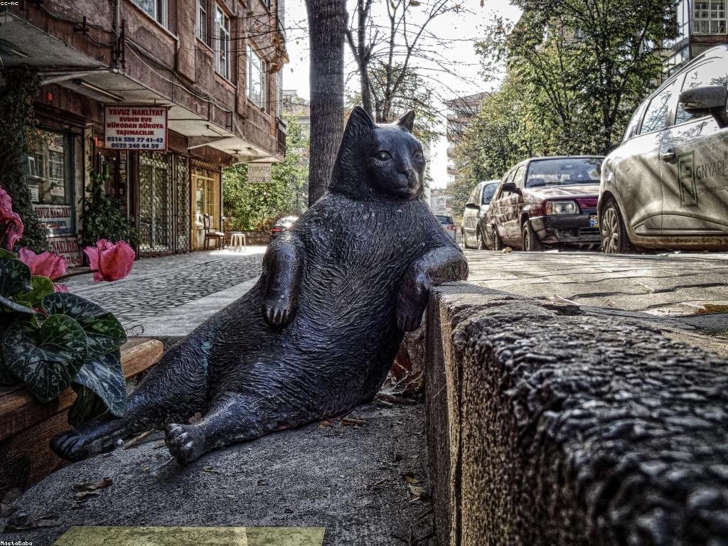 វិធីពិនិត្យស្លុតឱ្យបានត្រឹមត្រូវ